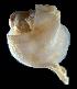  ( - WB-2-21-bc)  @14 [ ] Unspecified (default): All Rights Reserved  Unspecified Unspecified