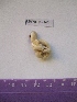  ( - WBET143)  @12 [ ] Unspecified (default): All Rights Reserved  Unspecified Unspecified