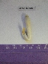  ( - WBET149)  @12 [ ] Unspecified (default): All Rights Reserved  Unspecified Unspecified