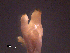  ( - WBET173)  @11 [ ] CreativeCommons - Attribution Non-Commercial Share-Alike (2011) Luisa Borges Universidade do Minho