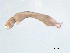  ( - BIOUG03317-F10)  @12 [ ] CreativeCommons - Attribution (2013) Trevor Bringloe Centre for Biodiversity Genomics