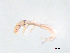  ( - BIOUG03320-C01)  @13 [ ] CreativeCommons - Attribution (2013) Trevor Bringloe Centre for Biodiversity Genomics