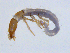  ( - BIOUG03322-E05)  @13 [ ] CreativeCommons - Attribution (2013) S. Adamowicz Centre for Biodiversity Genomics