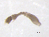  ( - BIOUG03324-G08)  @12 [ ] CreativeCommons - Attribution (2013) Trevor Bringloe Centre for Biodiversity Genomics