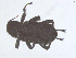  ( - BIOUG06973-C12)  @12 [ ] CreativeCommons - Attribution (2013) Trevor Bringloe Centre for Biodiversity Genomics
