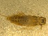  ( - BIOUG00637-B12)  @12 [ ] CreativeCommons - Attribution (2011) CBG Photography Group Centre for Biodiversity Genomics