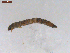  ( - BIOUG00638-H05)  @12 [ ] CreativeCommons - Attribution (2011) CBG Photography Group Centre for Biodiversity Genomics
