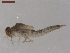  ( - BIOUG00639-B02)  @13 [ ] CreativeCommons - Attribution (2011) CBG Photography Group Centre for Biodiversity Genomics