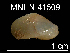  ( - JL-008)  @13 [ ] Unspecified (default): All Rights Reserved  Unspecified Unspecified