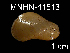  ( - JL-012)  @13 [ ] Unspecified (default): All Rights Reserved  Unspecified Unspecified