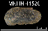  ( - JL-019)  @12 [ ] Unspecified (default): All Rights Reserved  Unspecified Unspecified