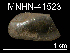  ( - JL-022)  @12 [ ] Unspecified (default): All Rights Reserved  Unspecified Unspecified