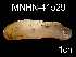  ( - JL-028)  @11 [ ] Unspecified (default): All Rights Reserved  Unspecified Unspecified