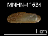  ( - JL-033)  @11 [ ] Unspecified (default): All Rights Reserved  Unspecified Unspecified