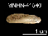  ( - JL-039)  @11 [ ] Unspecified (default): All Rights Reserved  Unspecified Unspecified