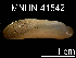  ( - JL-041)  @11 [ ] Unspecified (default): All Rights Reserved  Unspecified Unspecified