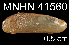  ( - JL-059)  @11 [ ] Unspecified (default): All Rights Reserved  Unspecified Unspecified