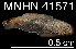  ( - JL-070)  @11 [ ] Unspecified (default): All Rights Reserved  Unspecified Unspecified