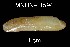  ( - JL-092)  @13 [ ] Unspecified (default): All Rights Reserved  Unspecified Unspecified