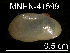  ( - JL-097)  @12 [ ] Unspecified (default): All Rights Reserved  Unspecified Unspecified