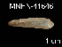  ( - JL-144)  @13 [ ] Unspecified (default): All Rights Reserved  Unspecified Unspecified