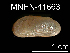  ( - JL-161)  @13 [ ] Unspecified (default): All Rights Reserved  Unspecified Unspecified