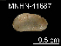  ( - JL-185)  @13 [ ] Unspecified (default): All Rights Reserved  Unspecified Unspecified