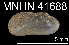  ( - JL-186)  @12 [ ] Unspecified (default): All Rights Reserved  Unspecified Unspecified