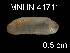  ( - JL-209)  @12 [ ] Unspecified (default): All Rights Reserved  Unspecified Unspecified