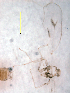  ( - ww01761)  @12 [ ] Unspecified (default): All Rights Reserved  Unspecified Unspecified