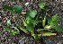  ( - AQPECSLAWB-3)  @11 [ ] C (2024) Akash mane Paul Hebert Centre for DNA barcoding and Biodiversity studies