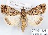  ( - 27142-151109-MA)  @11 [ ] Copyright (2024) Robert Borth Unspecified