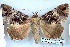  ( - 27148-031118-MA)  @11 [ ] Copyright (2024) Robert Borth Unspecified