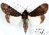  ( - 27149-060221-MA)  @11 [ ] Copyright (2024) Robert Borth Unspecified