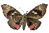  ( - 27156-150522-SO)  @11 [ ] Copyright (2024) Robert Borth Unspecified