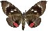  ( - 27157-150522-SO)  @11 [ ] Copyright (2024) Robert Borth Unspecified