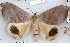  ( - 27158-000000-IN)  @11 [ ] Copyright (2024) Robert Borth Unspecified