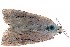  ( - 27194-010516-FL)  @11 [ ] Copyright (2024) Hugo Kons Jr Unspecified