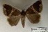  ( - 28003-171119-MA)  @11 [ ] Copyright (2025) Robert Borth Unspecified