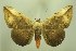  ( - 28023-140418-VI)  @11 [ ] Copyright (2025) Robert Borth Unspecified