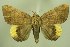  ( - 28059-171118-MA)  @11 [ ] Copyright (2025) Robert Borth Unspecified