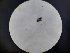  ( - B118_WB2473)  @11 [ ] CreativeCommons  Attribution Share-Alike (2023) M. Volf Biology Center CAS, Institute of Entomology