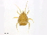  ( - BIOUG31160-F12)  @11 [ ] CreativeCommons - Attribution (2016) CBG Photography Group Centre for Biodiversity Genomics