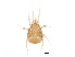  ( - BIOUG32113-G02)  @11 [ ] CreativeCommons - Attribution (2017) CBG Photography Group Centre for Biodiversity Genomics
