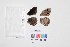  ( - LEP-SS-00994)  @12 [ ] Copyright (2018) Raluca Voda Universita degli Studi di Torino, Department of Life Sciences and Systems Biology