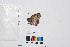  ( - LEP-SS-01020)  @12 [ ] Copyright (2018) Raluca Voda Universita degli Studi di Torino, Department of Life Sciences and Systems Biology