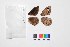  ( - LEP-SS-01026)  @12 [ ] Copyright (2018) Raluca Voda Universita degli Studi di Torino, Department of Life Sciences and Systems Biology