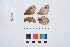  ( - VR0042)  @11 [ ] Copyright (2018) Raluca Voda Universita degli Studi di Torino, Department of Life Sciences and Systems Biology