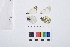  ( - VR0113)  @11 [ ] Copyright (2018) Raluca Voda Universita degli Studi di Torino, Department of Life Sciences and Systems Biology