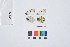  ( - VR0247)  @11 [ ] Copyright (2018) Raluca Voda Universita degli Studi di Torino, Department of Life Sciences and Systems Biology